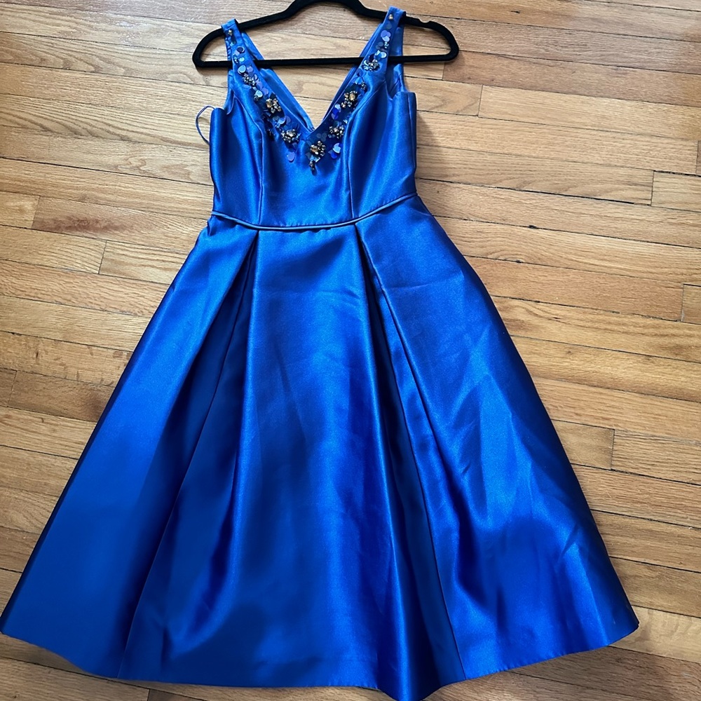 Beautiful elegant Adrianna Papell cocktail dress